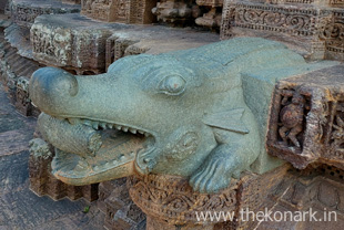 Left view - crocodile water outlet