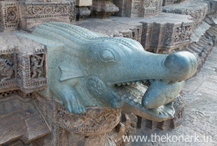 Right view - crocodile water outlet