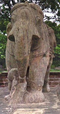 Front view of the Western War Elephant